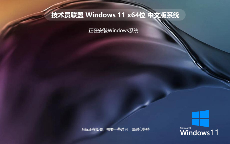 聯想/戴爾品牌機專用系統 技術員聯盟Win11專業版 完美激活 ghost ISO鏡像 X64下載